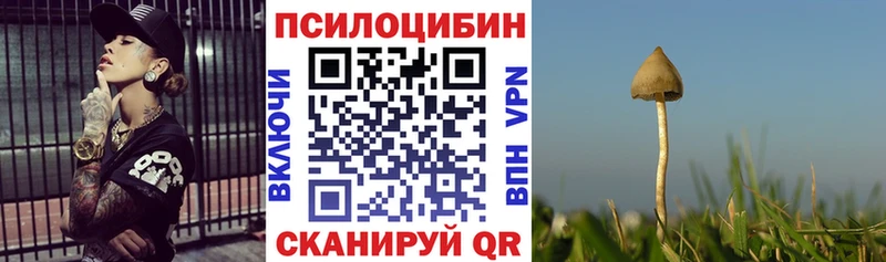 shop клад  купить наркотик  Калининец  Галлюциногенные грибы ЛСД 